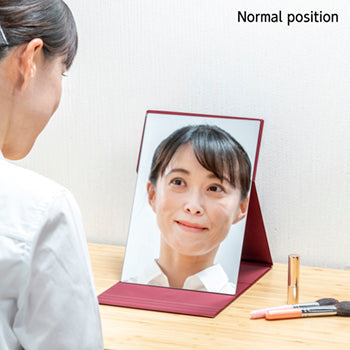 HORIUCHI MIRROR NAPURE® 双向折叠镜