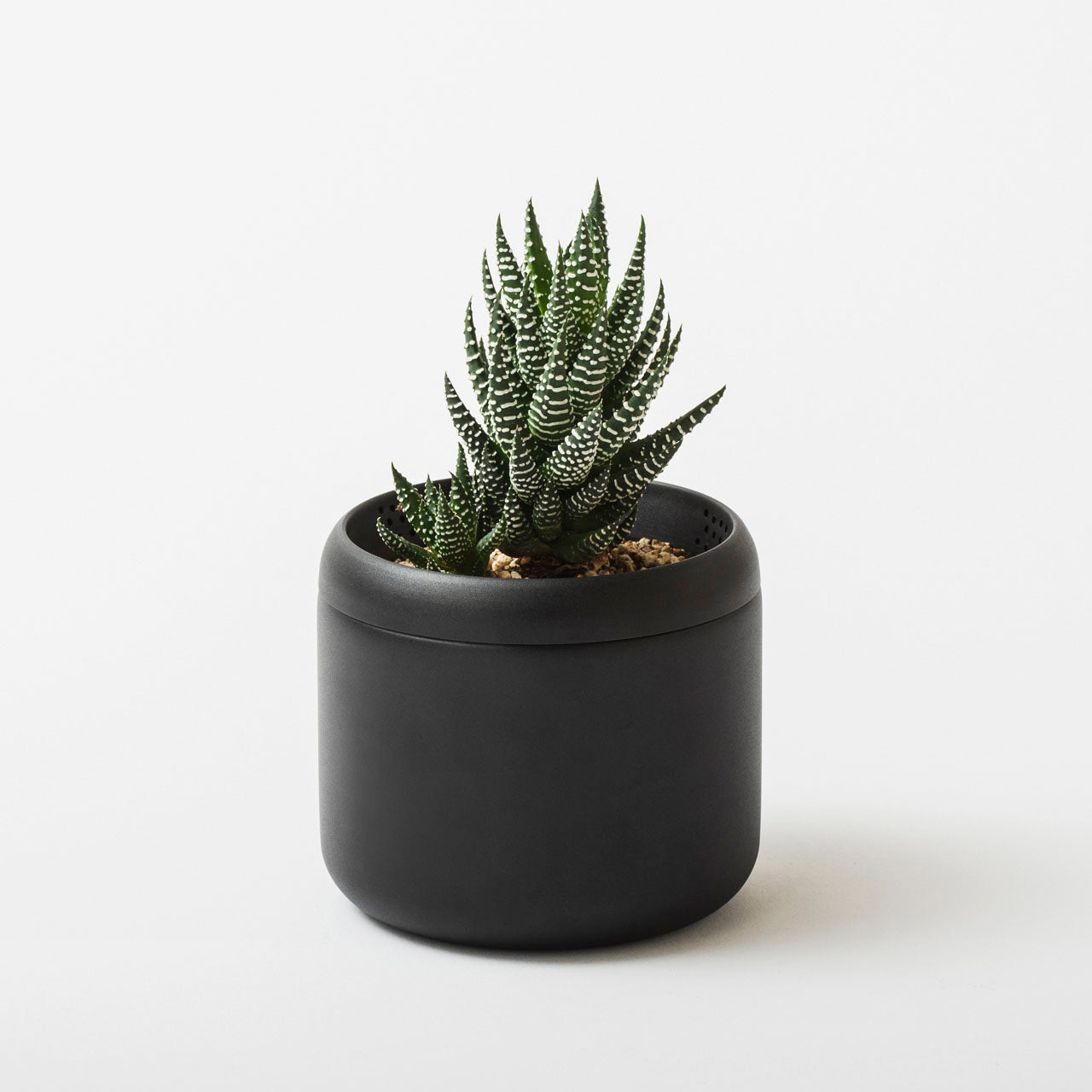 FUJITA KINZOKU Plant Pot HACHI